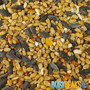 25kg BusyBeaks Year Round Mixture - Nutritious Garden Bird Seed Food For Wild Birds