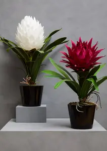 Pink Tropical Plant with Black Ceramic Pot Artificial Plant Foliage