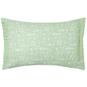 Wylder Belle Cotton  Feather Rich Cushion