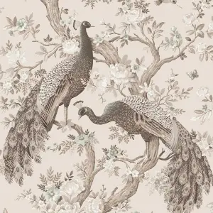 Laura Ashley Belvedere Soft truffle Peacock Smooth Wallpaper Sample