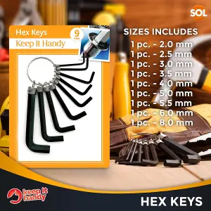 9pk Heavy Duty Allan Keys Assorted Sizes - 2mm to 8mm - Small Allen Key Set - Hex Key Set - Alan Keys Sets - Allen Keys Sets