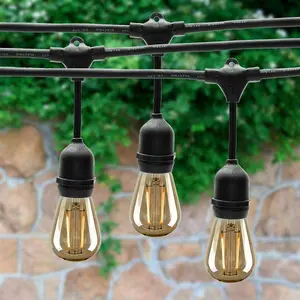 CGC Vintage Style Festoon Outdoor Indoor String Lights Kit