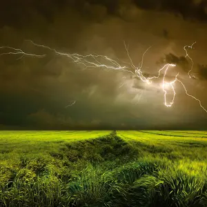 Lightning and Thunder Mural - 384x260cm - 5098-8