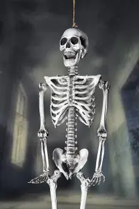 Halloween Poseable Skeleton Decoration 165cm