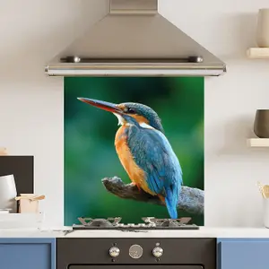 Premium 70cm x 75cm 6mm  Glass Blue Kingfisher Kitchen Splashback Various Sizes Toughened - 70 cm