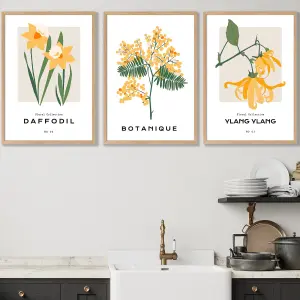 Set of 3 Framed Vintage Graphical Yellow Spring Flower Market / 50x70cm / Oak