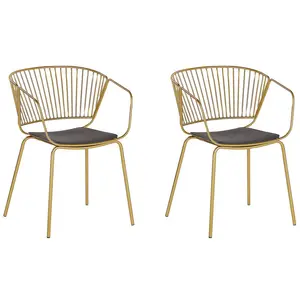 Boghos Dining Chair (Set of 2) Gold