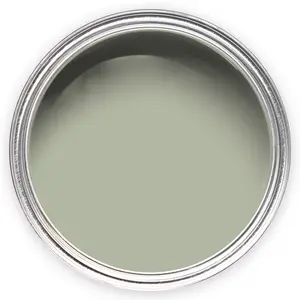 Annie Sloan Wall Paint 2.5 Litre Terre Verte