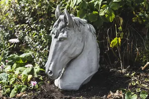 Stallion Horse Head Concrete Garden Ornament