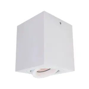 Luminosa Modern Surface Mounted White 1 Light , GU10