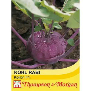 Kohl Rabi Kolibri F1 Hybrid 1 Seed Packet (35 Seeds)