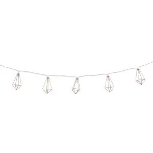 Metal cage Battery-powered Warm white 10 LED Indoor String lights