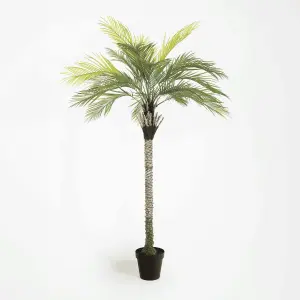 Blooming Artificial - 175cm / 5.75ft Artificial King Palm Tree