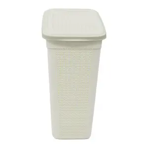 Plastic Laundry Hamper with Handles White