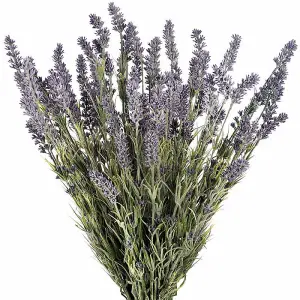 UK Homeliving Large Lavender Bush