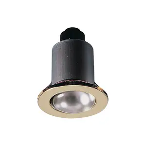 Luminosa Brass Mains Downlight, 230V 60W