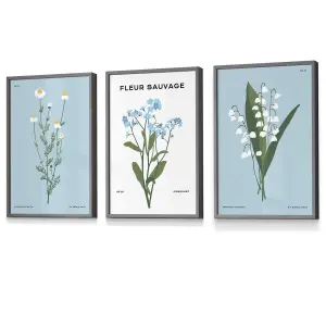 Set of 3 Framed Vintage Graphical Blue Spring Wild Flower Market / 30x42cm (A3) / Dark Grey