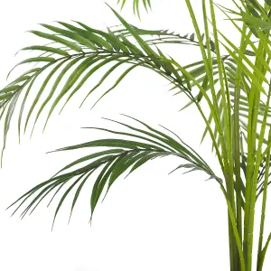 Artificial Plant ARECA PALM Green