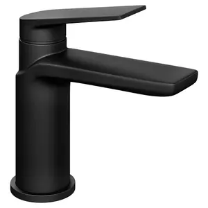 Luxury Modern Standard Mono Basin Mixer - Black