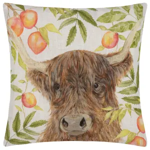 Evans Lichfield Grove Highland Cow Printed Feather Filled Cushion