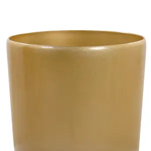 Beliani Modern Plant Pot TSERIA Stone Gold