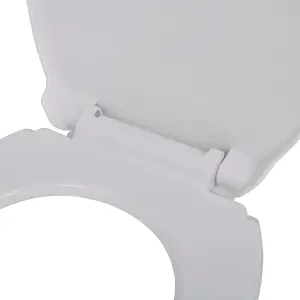 Soft-close Toilet Seat White Oval