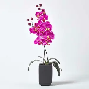 Homescapes Set of 2 Cream & Pink Artificial Orchids in Black Ceramic Pots, 55 cm