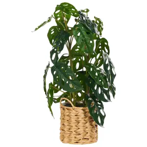 Beliani Retro Artificial Plant KIAMA Green