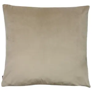 Ashley Wilde Nevado Geometric Feather Filled Cushion