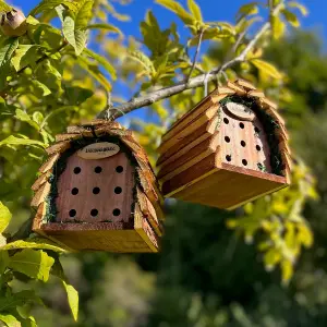 Wooden Hanging Ladybird & Insect House (Set of 2)