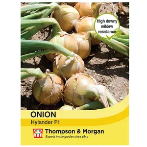 Onion Hylander 1 Seed Packet (125 Seeds)