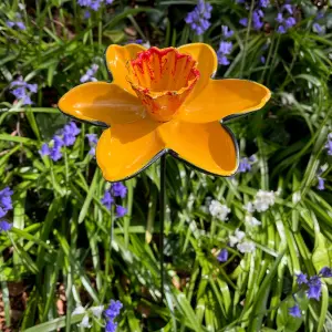 Cast Iron Daffodil Bird Feeder Flower Dish