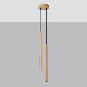 Pastelo Steel Gold 2 Lights Modern Pendant Ceiling Light