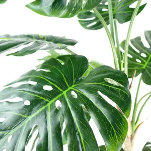 150cm (5ft) Luxury Monstera Plant Black Pot