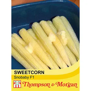 Sweetcorn Snobaby 1 Seed Packet (25 Seeds)