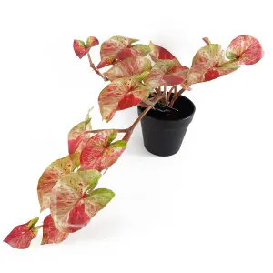 35cm Artificial Hanging Trailing Plant Pink Splash Caladium