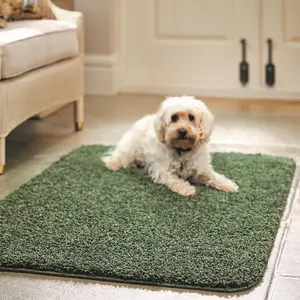 Modern Shaggy Forest Green Washable Plain Anti-Slip Easy To Clean Dining Room Rug-100cm X 100cm