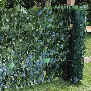 True Products Artificial Two Colour Ivy Leaf Hedge Garden Fence Privacy Screening - 1.5m x 3m