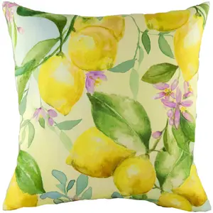 Evans Lichfield Fruit Lemons Watercolour-Painted Polyester Filled Cushion