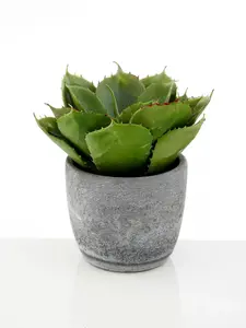 Fiori Large Succulent with Cement Pot Artificial Plant Foliage