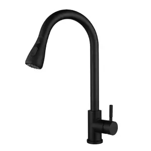 Stainless Steel Kitchen Sink Faucet with Extender and Sprayer black