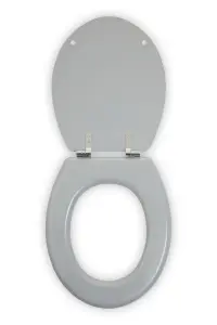 Maison by Premier Brooks Matte Grey Toilet Seat