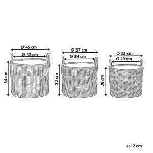 Set of 3 Plant Pots PENDULA PE Rattan Natural