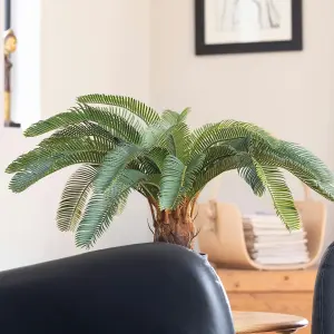 Blooming Artificial - 65cm / 2.25ft Fake Cycas Revoluta