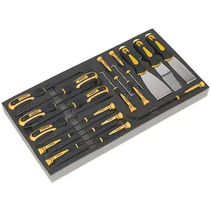 Premium 18 Piece Hook and Scraper Tool Set with Storage Tray