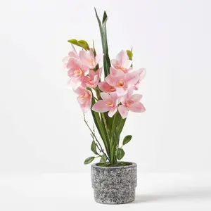 Homescapes Pink Orchid 58 cm Cymbidium in Cement Pot Extra Large, 2 Stems