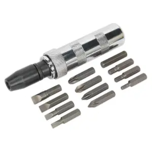 Sealey 15 Pieces Impact Driver Set With Chrome Vanadium Steel Bits Silver S0844