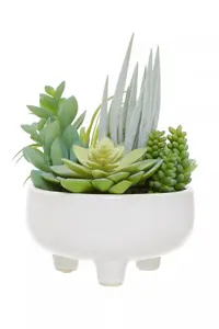 Fiori Mixed Succulents In Large Ceramic Pot Artificial Plant Foliage