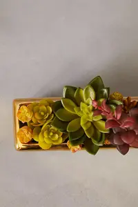 Mixed Succulents Fiori with Ceramic Gold Pot Artificial Plant Foliage