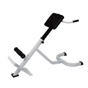 Back Extension Bench Fitness Home Gym Essential